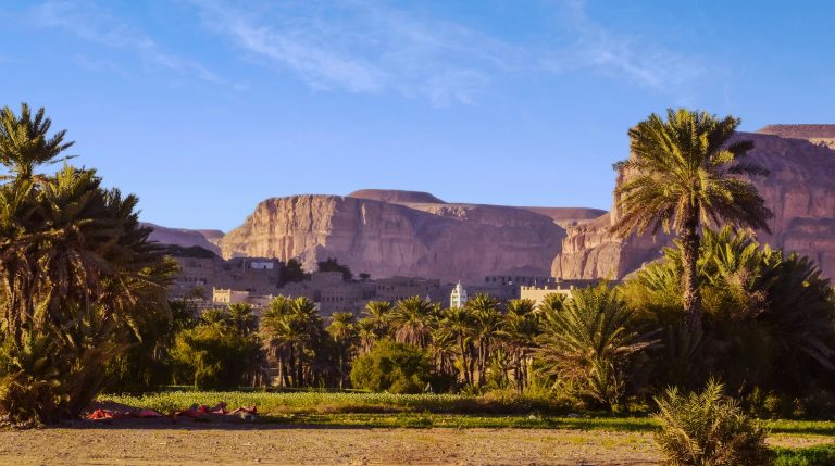 A picturesque oasis town in Yemen with lush palm trees set against majestic cliffs.